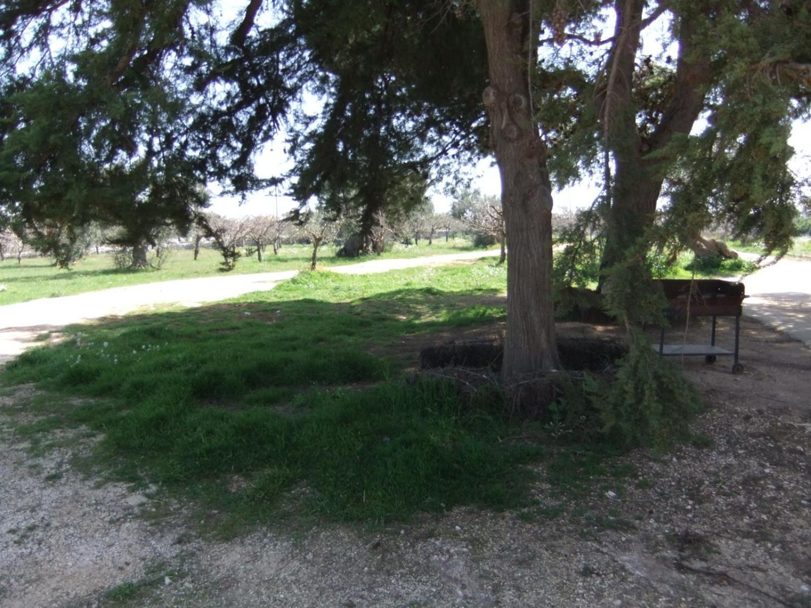 Masseria La Luna Nel Pozzo Castellana Grotte Ngoại thất bức ảnh